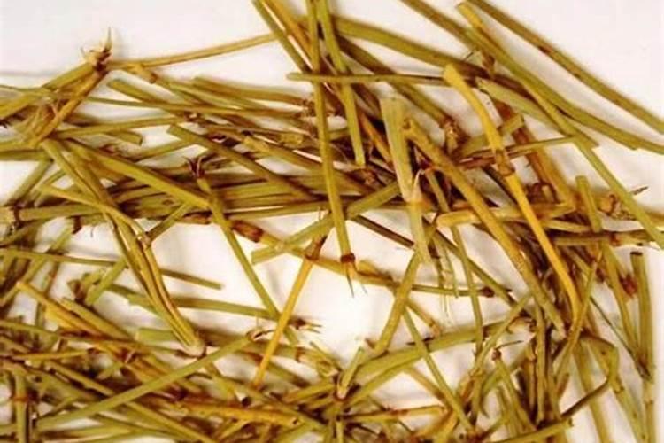 麻黄的功效和作用主治