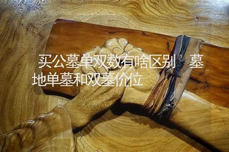 墓地的风水跟房子风水同理吗？