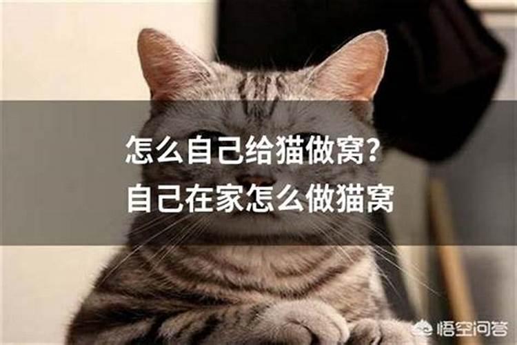店铺门前栽什么树最旺财