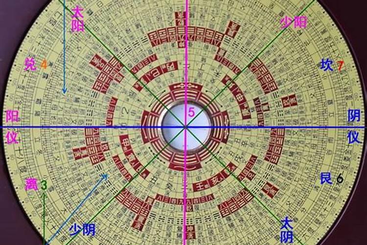 客厅种什么花风水好