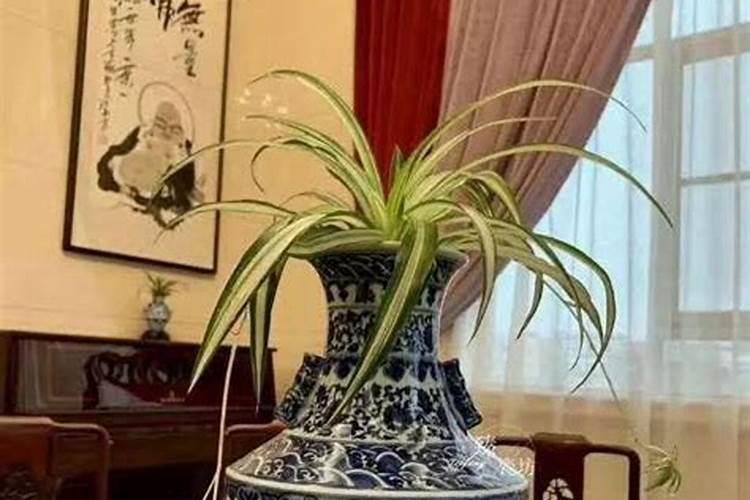 与财无缘破财什么风水