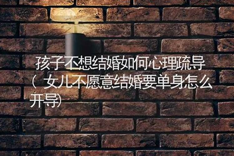 严华生平简介