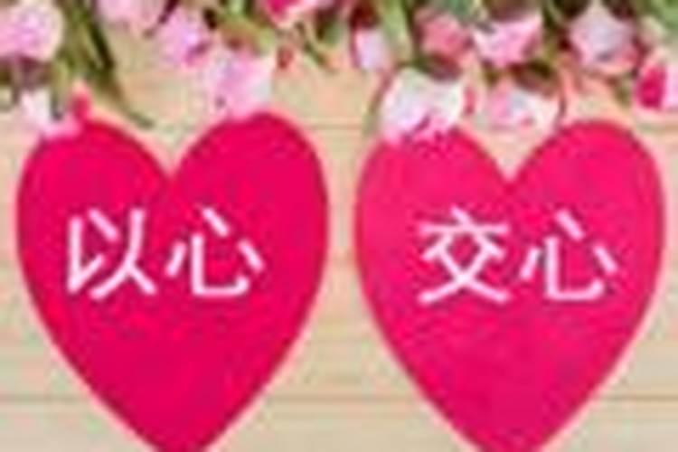 大门打开见到花草好吗;大门两旁栽什么花最好