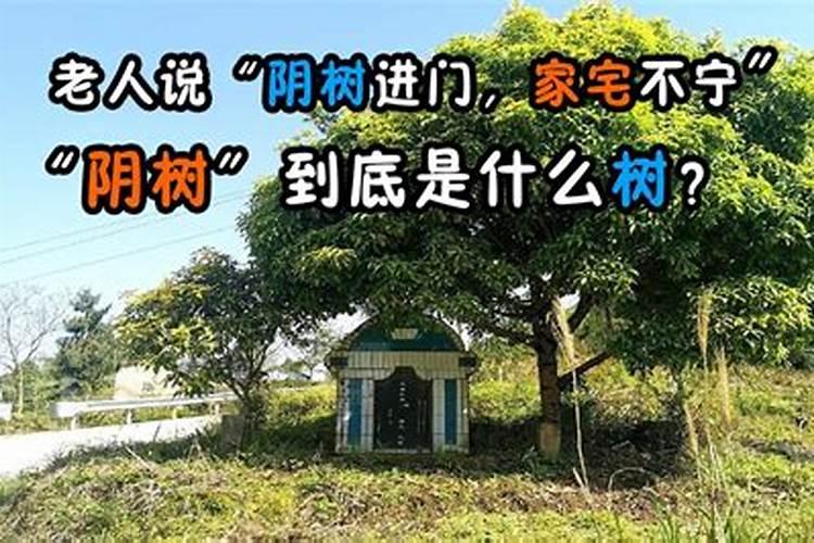 客厅垭口造型过时了？这几种造型美爆了