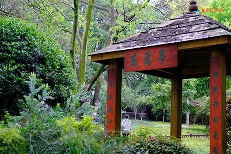 钢结构屋顶与木结构盖瓦哪个好