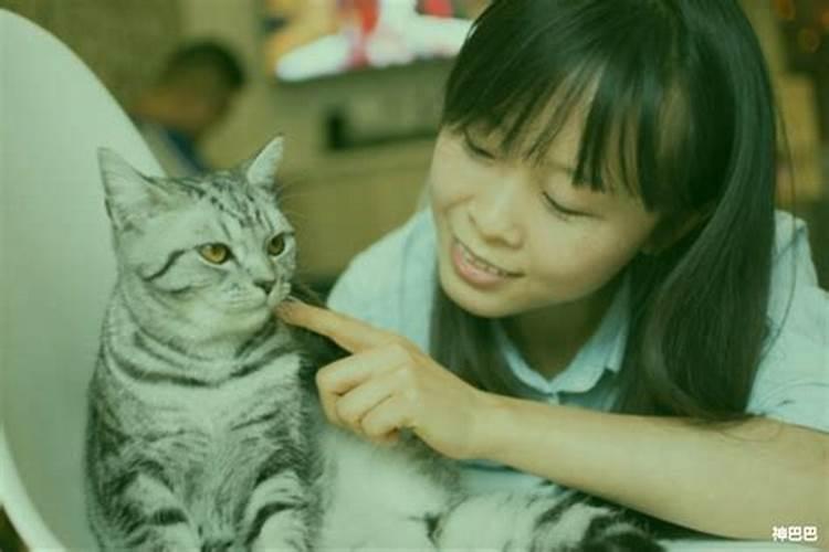 家宅东南角有颗大树好不好