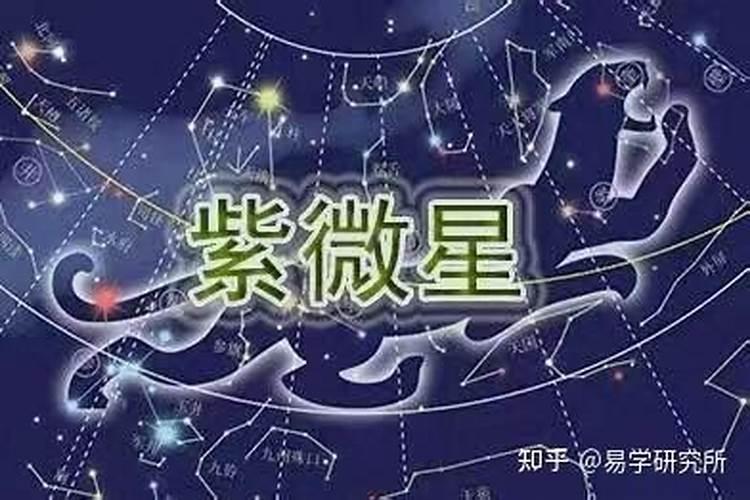 紫薇星盘分析
