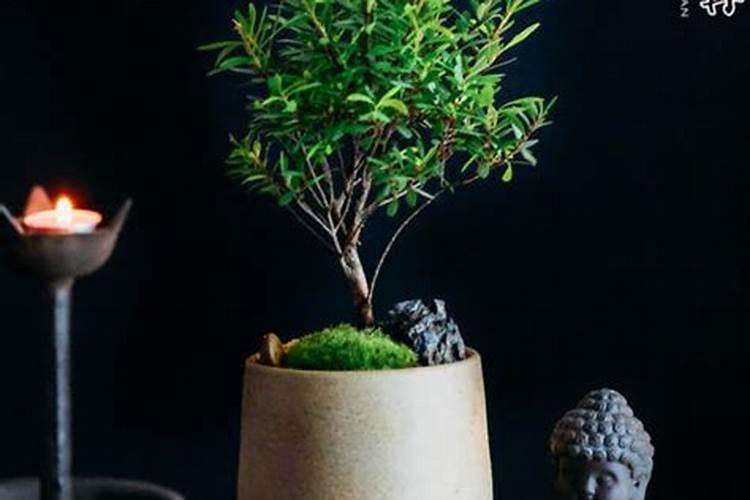 葫芦帘如何挂