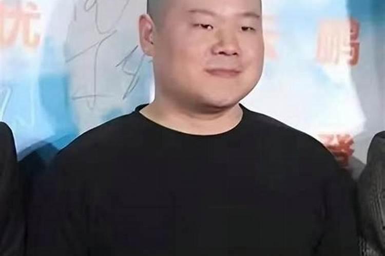 发财树的风水摆放