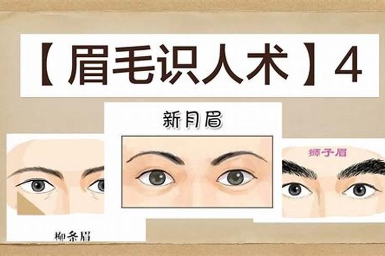 眉毛旷变高 风水学里有什么说法