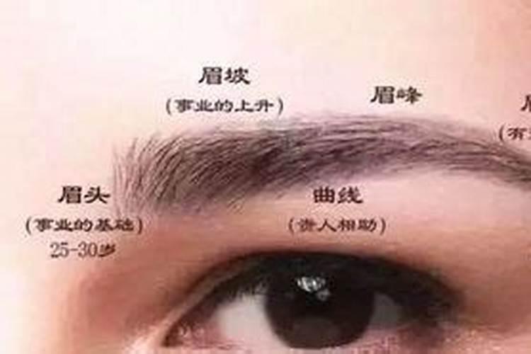 风水眉毛有什么说法