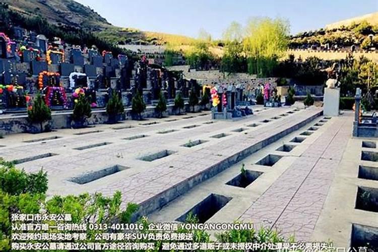 有人说成吉思汗的陵墓很有可能在宁夏境内,可能性大吗？