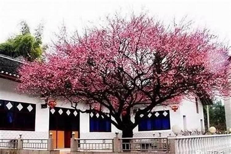 壕沟是什么意思