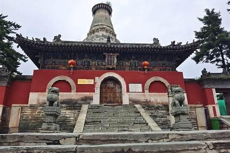 山东滨城旅游指南滨城区旅游景点