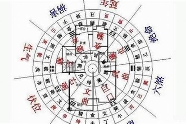 风水学中老虎是什么意思
