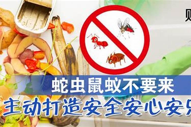 蛇进屋有什么迷行说法,家里出现小蛇是吉还是凶,进家的蛇打死了意味着...