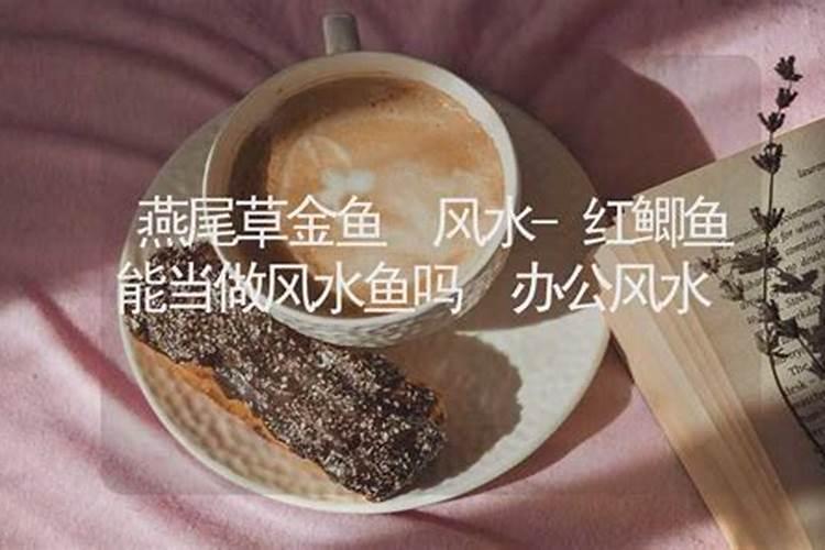 买房买多少层风水最好