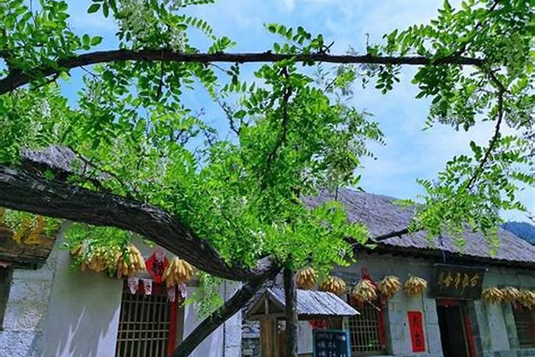 十字路口商铺风水禁忌 怎么看店铺好坏