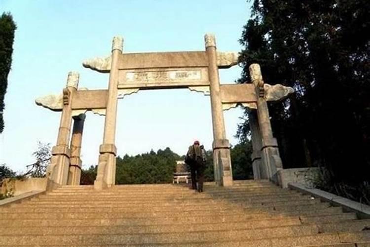文竹的寓意与风水 摆放风水说法与讲究