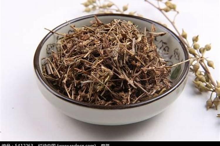 桃树风水作用与寓意