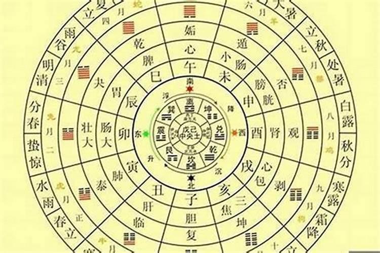 夜华最爱的人到底是谁