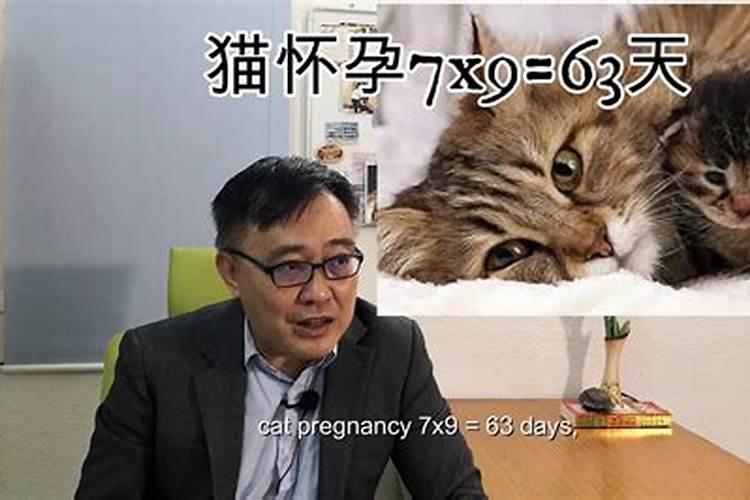 为什么要请风水先生？在什么情况要请风水先生呢？