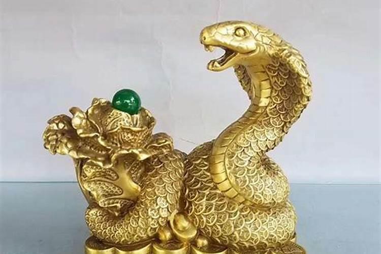 装眼镜蛇蛇笼放在什么地方