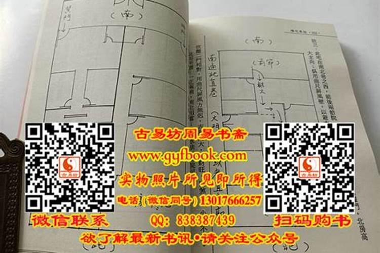 60长宽40高78的鱼缸能养多大的招财鱼呢