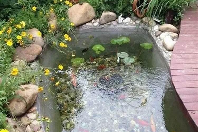 现在在国内想学风水学,那个大学有这个能力,有前途吗？
