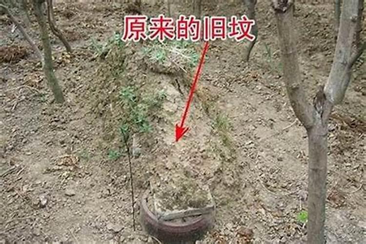 祖坟风水真的很重要吗,风水先生的后代都不好