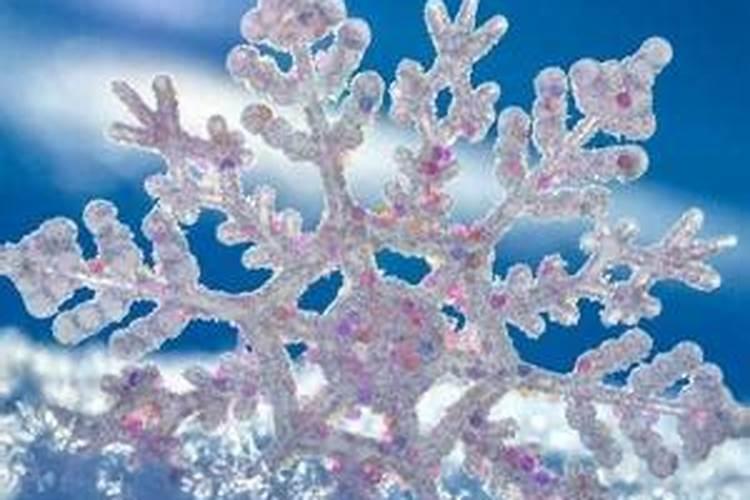 命理风水易学导师:中国风水大...
