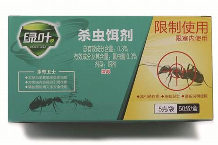 家里有白蚂蚁什么兆头家里有白蚁预兆什么