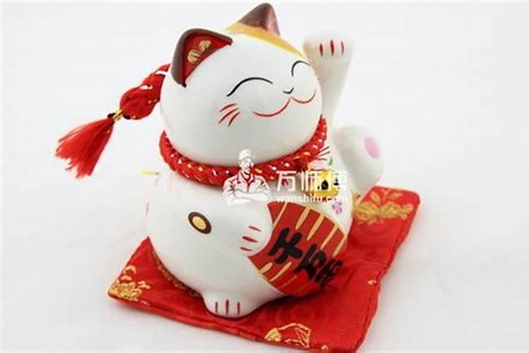 猫到底是招财还是来灾 风水学讲猫进家门财源滚滚