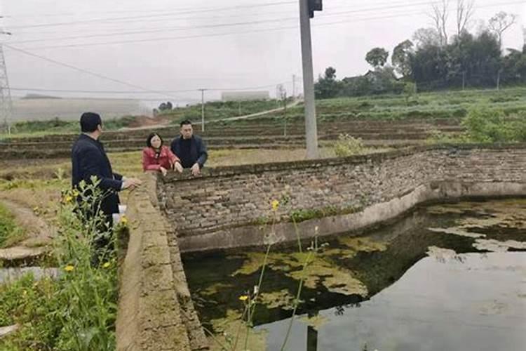 哪位能告诉我农村庭院小鱼池对风水有影响吗