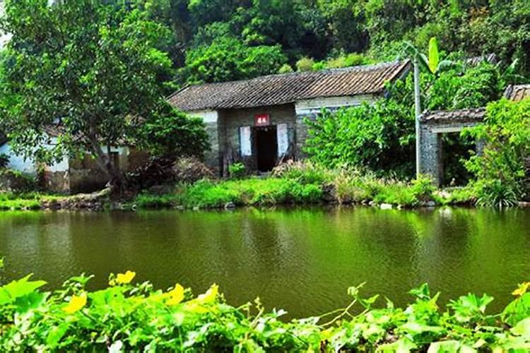 我想在宅基东南角的地方建个水池,风水方面要吉宅,旺财,水池多大？形状...