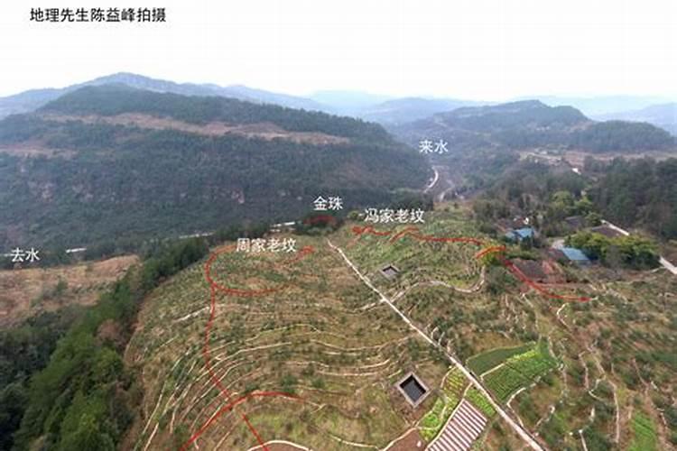 中国最权威的风水师是谁？有详细资料介绍吗