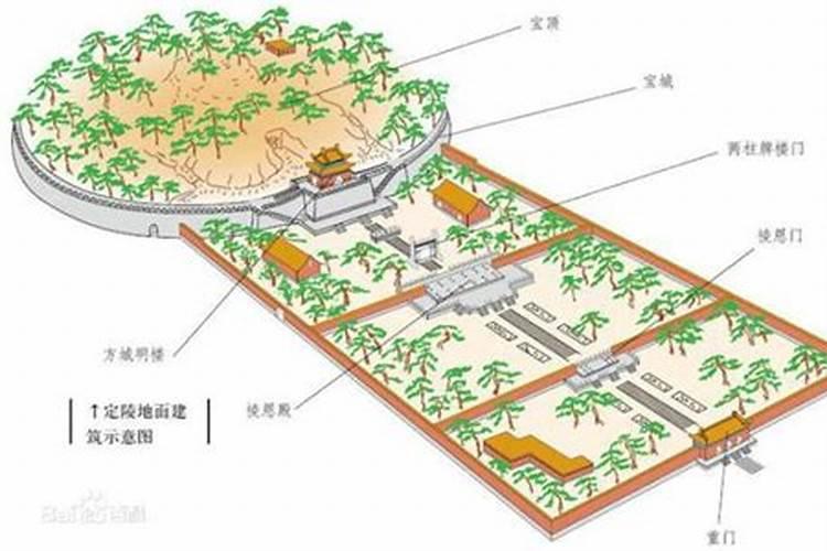 在中国的殡葬礼节中为什么一个儿子一七不能埋.两个儿子二七不能埋三...