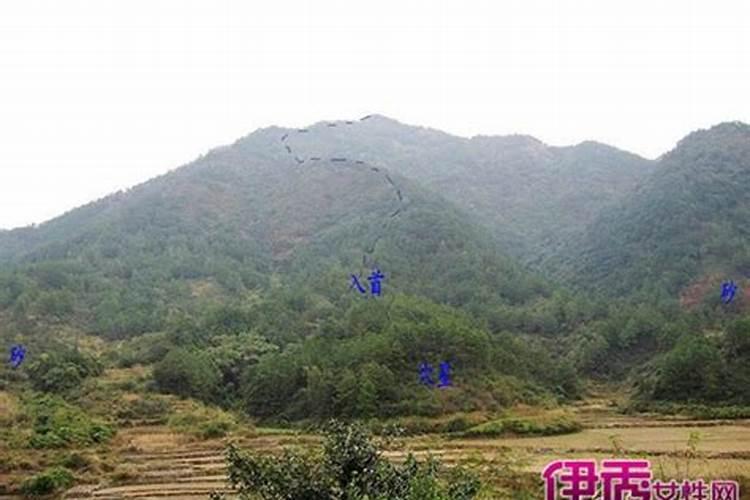 风水大师算命真的准吗