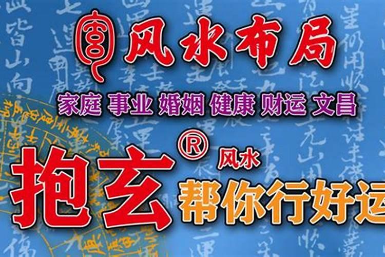 可以驱蚊的盆栽花有哪些