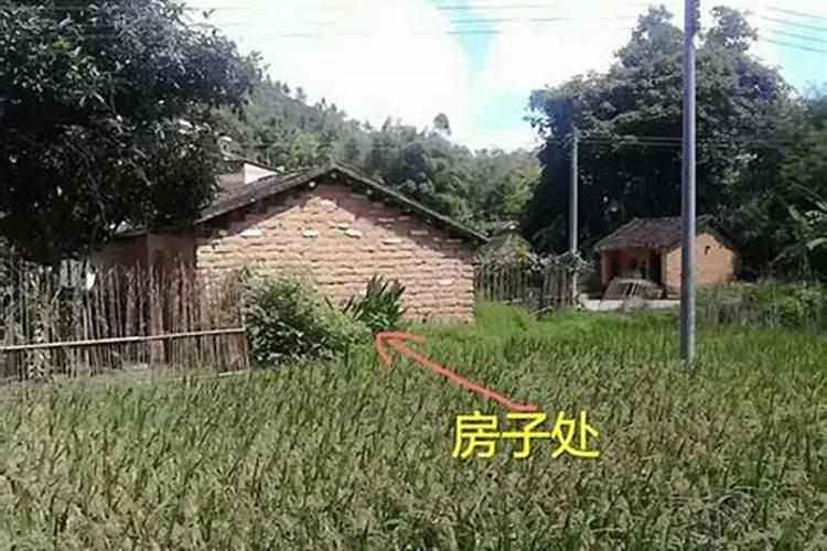 窗帘纱的种类有哪几种材质？