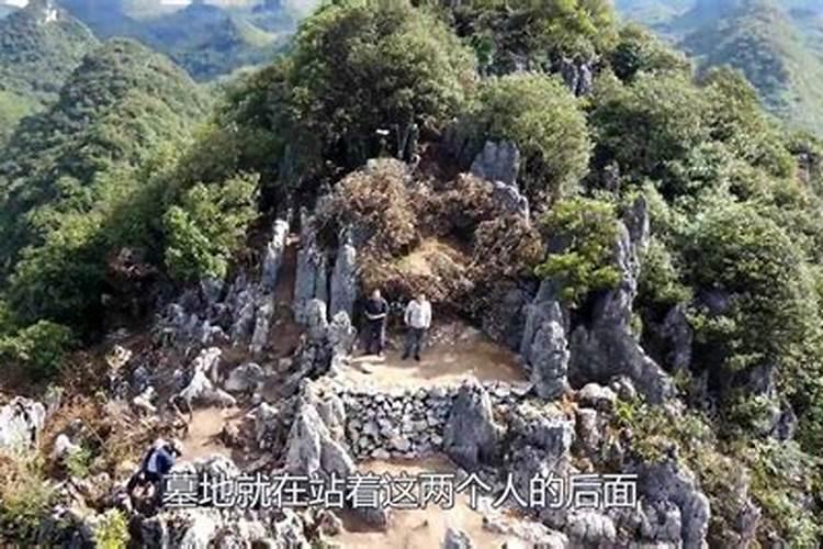 网红帝师的背景是什么？