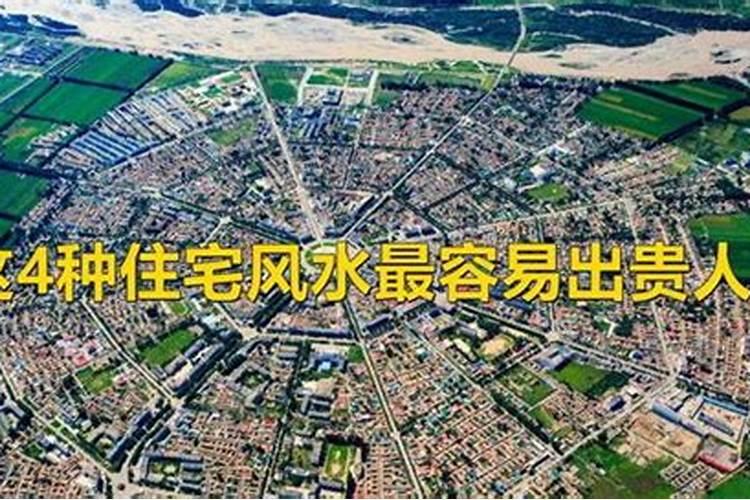 悟乐大师悟乐大师简历