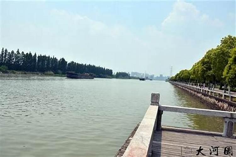 店铺门口放什么植物招财？