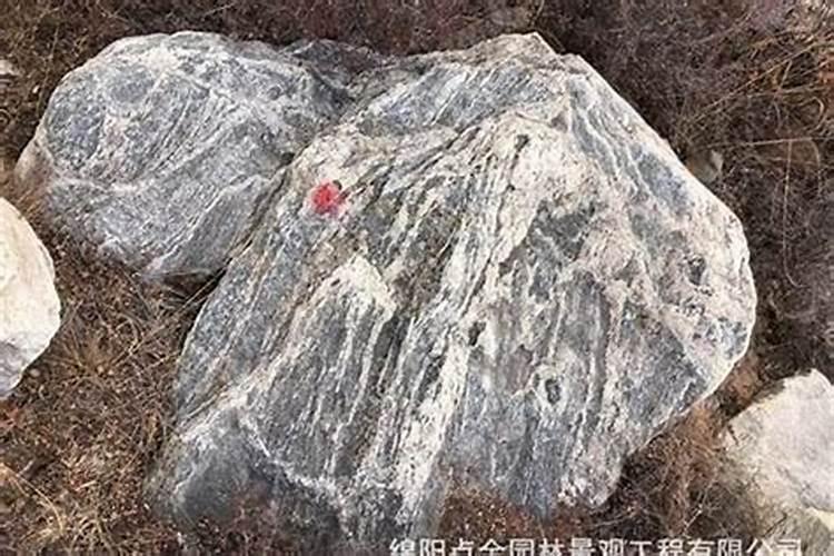 聚灵阵怎么摆
