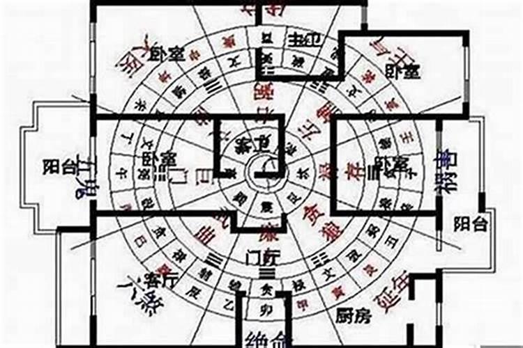 摇钱树开花了吗？它看起来像什么？