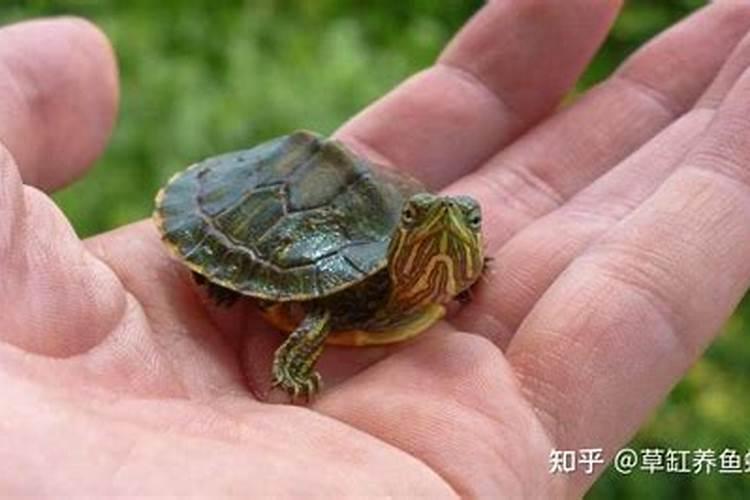 什么风水会影响儿子