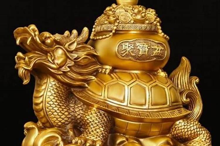 家里为什么不能摆龙龟,风水学:龙龟摆件的五大禁忌