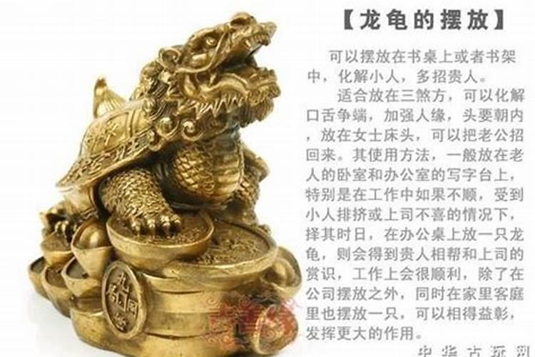 龙龟怎么摆放招财根据摆放的地方决定？