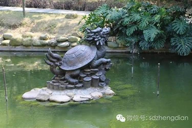 龙龟怎么摆放招财根据摆放的地方决定？