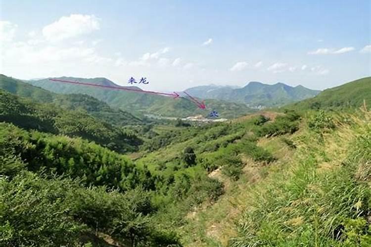 李淳风和袁天罡关系如何？他们都是怎么死的？生前任何官职,有何特长...